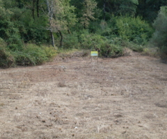 Fonte di Roccadaspide terreno agricolo