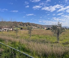 Capaccio Paestum loc.Scigliati Terreno agricolo