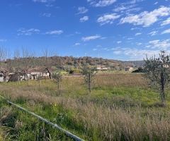 Capaccio Paestum loc.Scigliati Terreno agricolo