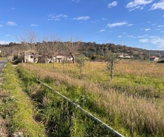 Capaccio Paestum loc.Scigliati Terreno agricolo