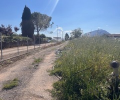 Capaccio Paestum loc Gromola Terreno agricolo