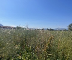 Capaccio Paestum loc Gromola Terreno agricolo