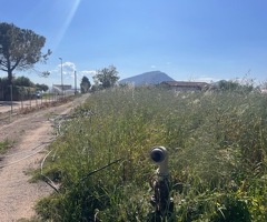 Capaccio Paestum loc Gromola Terreno agricolo