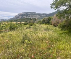 Capaccio Paestum zona collinare terreno agricolo