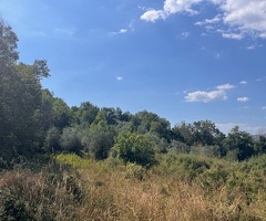 Felitto loc.Margherite Terreno con rudere