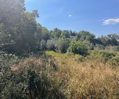 Felitto loc.Margherite Terreno con rudere