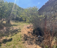 Felitto loc.Margherite Terreno con rudere - 10