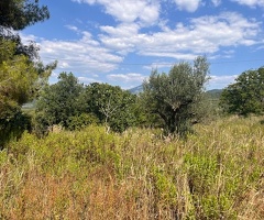 Felitto loc.Margherite Terreno con rudere - 12